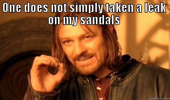 ONE DOES NOT SIMPLY TAKEN A LEAK ON MY SANDALS  Boromir