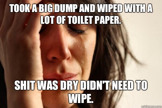 Took a big dump and wiped with a lot of toilet paper. Shit was dry didn't need to wipe.  - Took a big dump and wiped with a lot of toilet paper. Shit was dry didn't need to wipe.   First World Problems