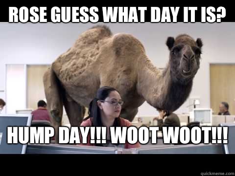 Rose guess what day it is? HUMP DAY!!! WOOT WOOT!!!  - Rose guess what day it is? HUMP DAY!!! WOOT WOOT!!!   Hump Day Camel