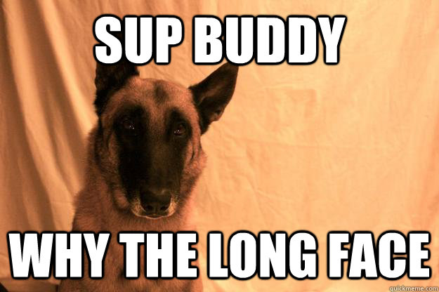 Sup buddy why the long face - Sup buddy why the long face  Contemplating Dog