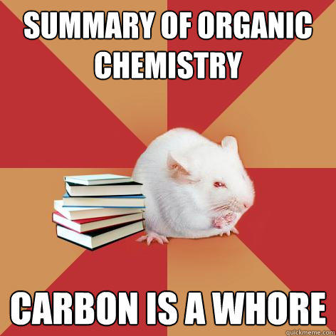 summary of Organic Chemistry carbon is a whore  Science Major Mouse
