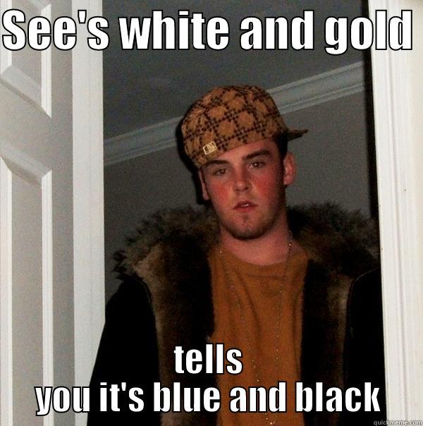 SEE'S WHITE AND GOLD  TELLS YOU IT'S BLUE AND BLACK Scumbag Steve