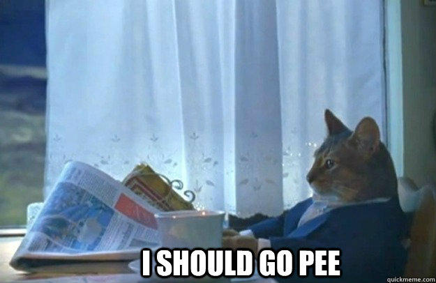 I SHOULD GO PEE  Sophisticated Cat is broke