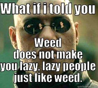 WHAT IF I TOLD YOU  WEED DOES NOT MAKE YOU LAZY, LAZY PEOPLE JUST LIKE WEED. Matrix Morpheus