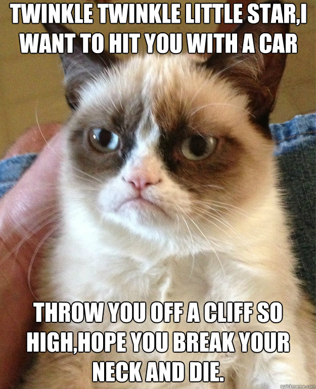 Twinkle twinkle little star,I want to hit you with a car
 Throw you off a cliff so high,hope you break your neck and die. - Twinkle twinkle little star,I want to hit you with a car
 Throw you off a cliff so high,hope you break your neck and die.  Misc