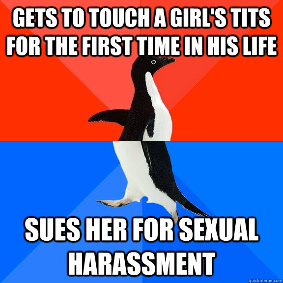 gets to touch a girl's tits for the first time in his life sues her for sexual harassment  Socially Awesome Awkward Penguin