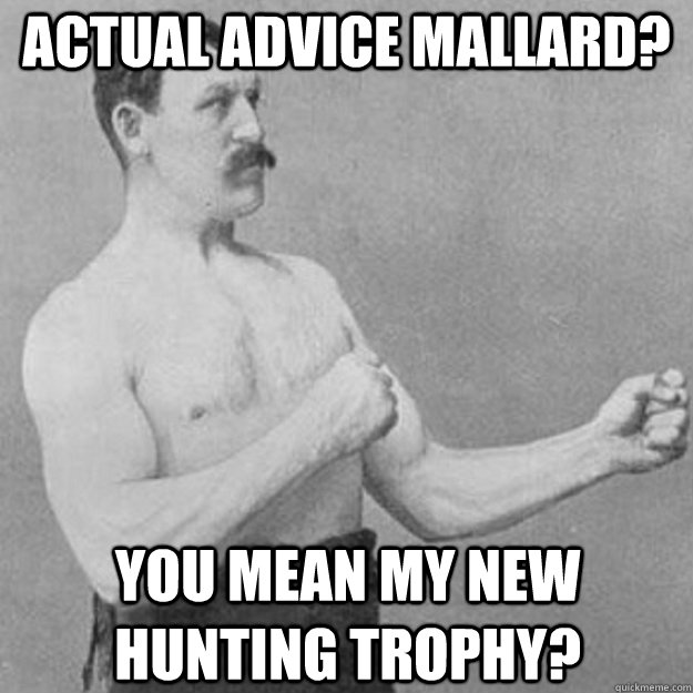 Actual Advice Mallard? you mean my new hunting trophy?  overly manly man