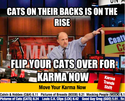 Cats on their backs is on the rise flip your cats over for karma now   Mad Karma with Jim Cramer