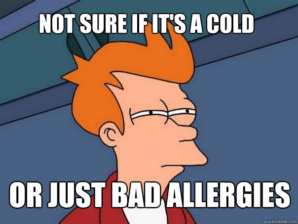 Not sure if it's a cold or just bad allergies  Futurama Fry