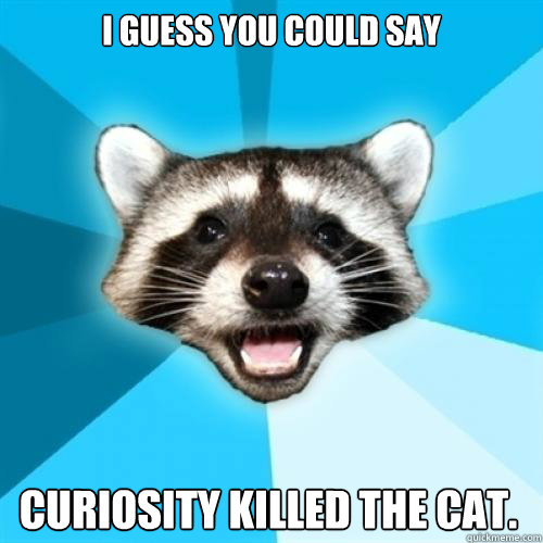 I guess you could say Curiosity Killed the cat. - I guess you could say Curiosity Killed the cat.  Lame Pun Coon on Camping