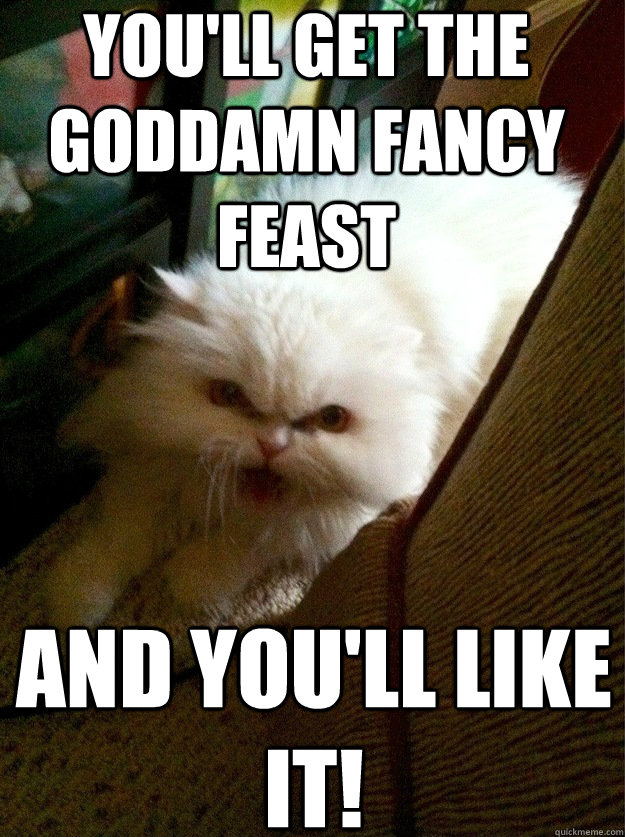 You'll get the goddamn fancy feast And you'll like it! - You'll get the goddamn fancy feast And you'll like it!  Demanding Cat