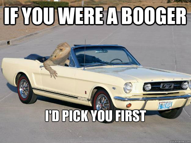 if you were a booger i'd pick you first

  Pickup Dragon