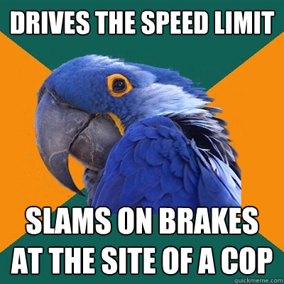 Drives the speed limit slams on brakes at the site of a cop  Paranoid Parrot