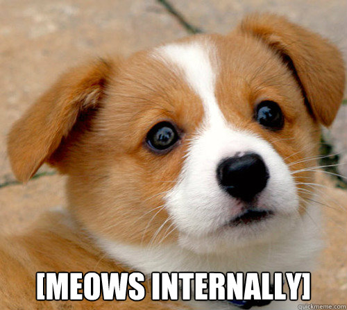  [meows internally] -  [meows internally]  barks internally