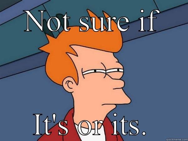 NOT SURE IF IT'S OR ITS. Futurama Fry