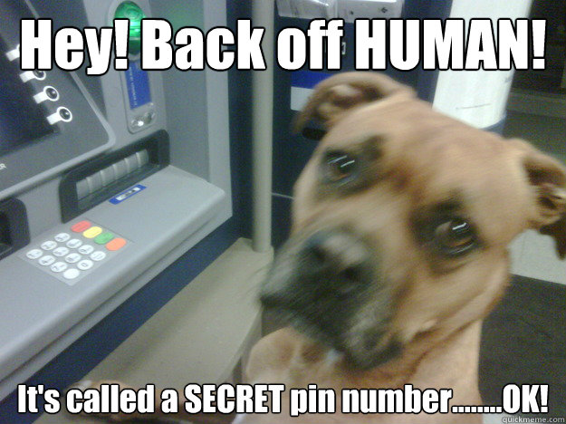 Hey! Back off HUMAN! It's called a SECRET pin number........OK! - Hey! Back off HUMAN! It's called a SECRET pin number........OK!  Do bones even fit it the slot