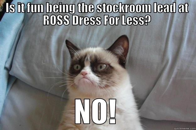 IS IT FUN BEING THE STOCKROOM LEAD AT ROSS DRESS FOR LESS? NO! Grumpy Cat