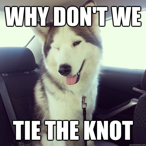 why don't we tie the knot - why don't we tie the knot  Stud Dog