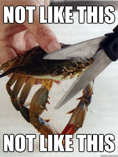 Not like this not like this  Optimistic Crab