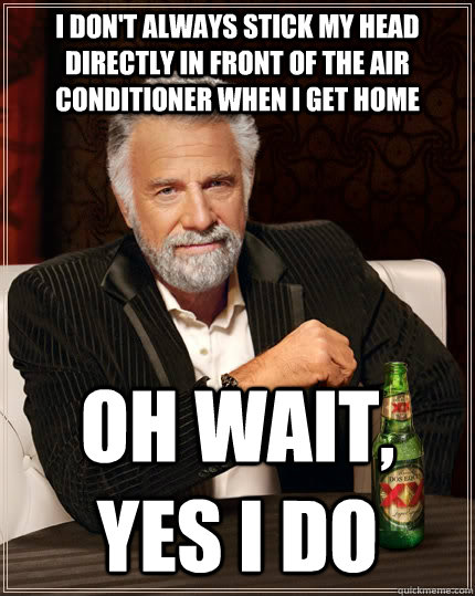 I don't always stick my head directly in front of the air conditioner when i get home oh wait, yes i do  The Most Interesting Man In The World