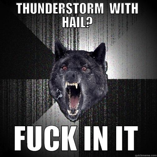 THUNDERSTORM  WITH HAIL? FUCK IN IT Insanity Wolf