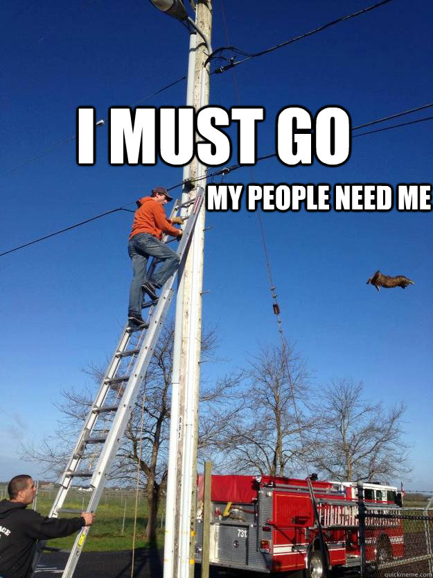 I must go My people need me - I must go My people need me  My cat people need me