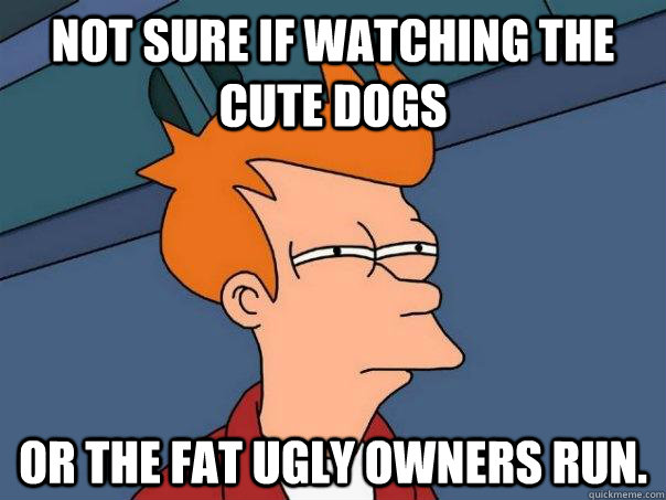 Not sure if watching the cute dogs Or the fat ugly owners run.  Futurama Fry