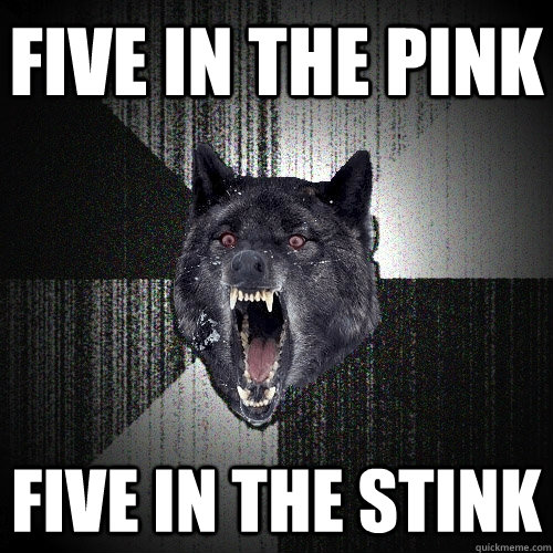 FIVE IN THE PINK FIVE IN THE STINK  Insanity Wolf