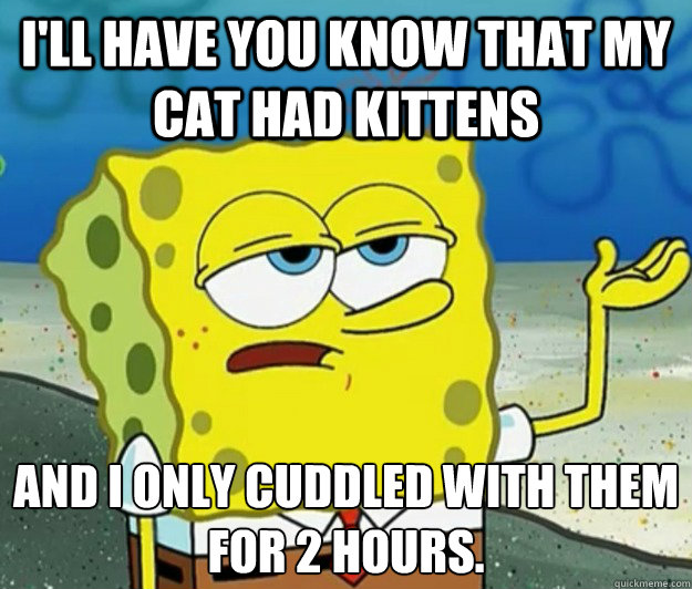I'll have you know that my cat had kittens And I only cuddled with them for 2 hours.  Tough Spongebob