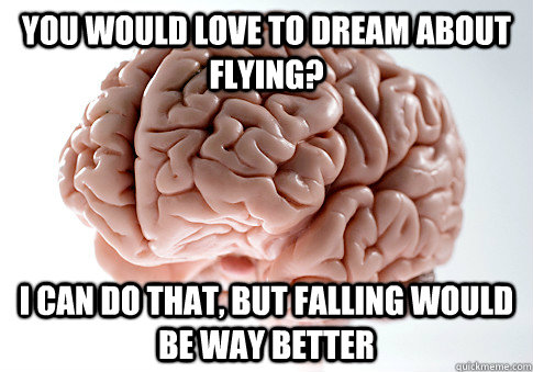 you would love to dream about flying? I can do that, but falling would be way better  Scumbag Brain