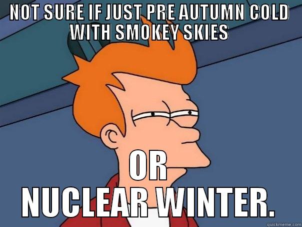 NOT SURE IF JUST PRE AUTUMN COLD WITH SMOKEY SKIES OR NUCLEAR WINTER. Futurama Fry