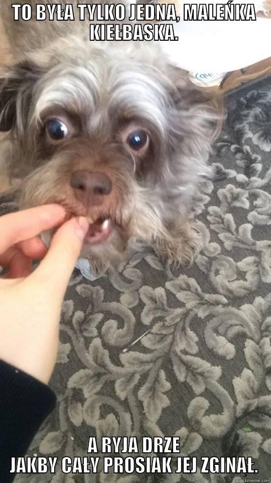 TO BYŁA TYLKO JEDNA, MALEŃKA KIEŁBASKA. A RYJA DRZE JAKBY CAŁY PROSIAK JEJ ZGINĄŁ. Misc