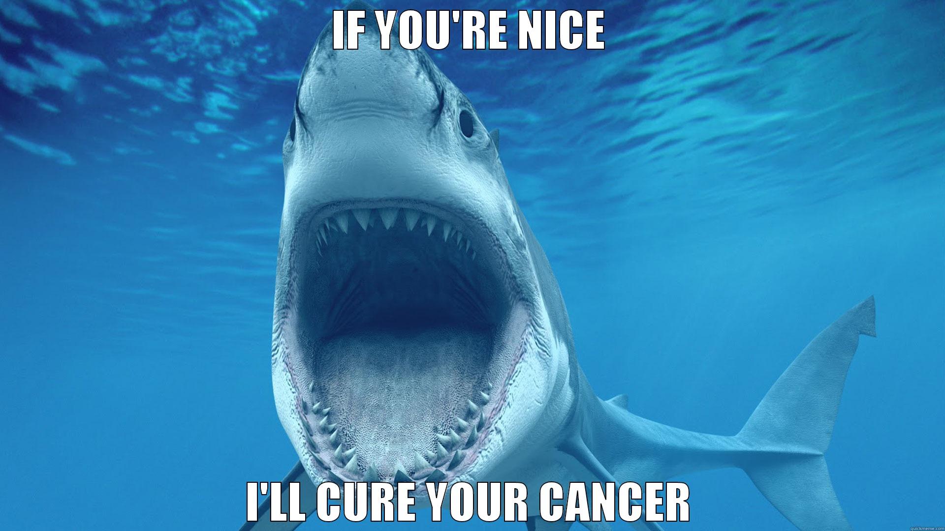 IF YOU'RE NICE I'LL CURE YOUR CANCER Misc