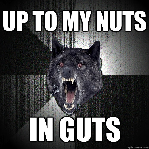 UP TO MY NUTS IN GUTS  Insanity Wolf
