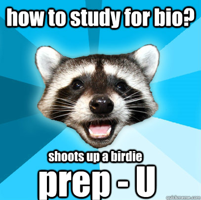 how to study for bio? prep - U  shoots up a birdie  Lame Pun Coon