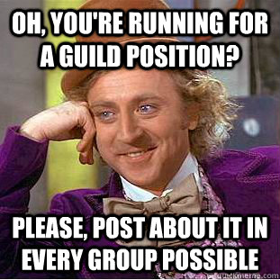 OH, you're running for a guild position? PLease, post about it in every group possible  Condescending Wonka