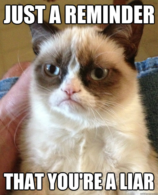 Just a reminder that you're a liar  Grumpy Cat