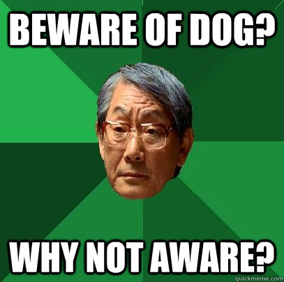 Beware of Dog? Why not Aware?  High Expectations Asian Father