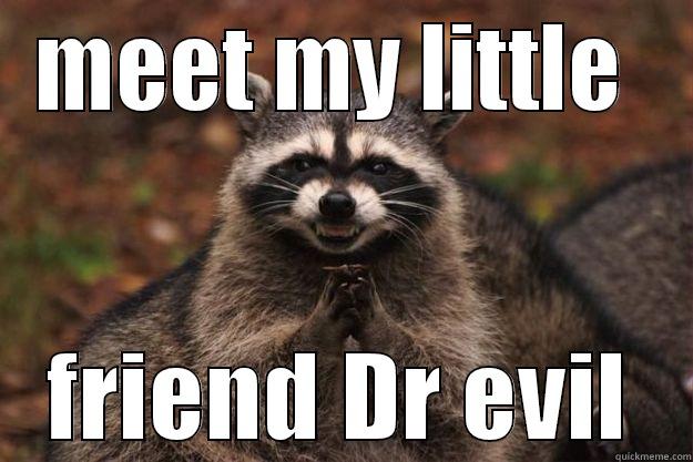 my little friend - MEET MY LITTLE  FRIEND DR EVIL Evil Plotting Raccoon