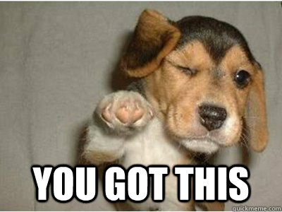  YOU GOT THIS -  YOU GOT THIS  Puppy Love