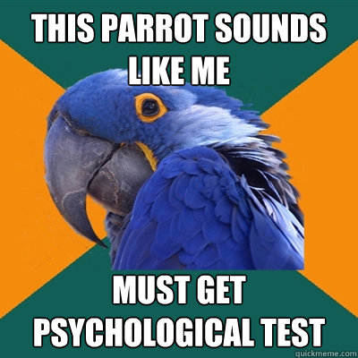 this parrot sounds like me must get psychological test  Paranoid Parrot
