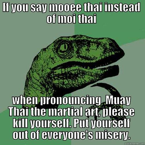 IF YOU SAY MOOEE THAI INSTEAD OF MOI THAI WHEN PRONOUNCING  MUAY THAI THE MARTIAL ART, PLEASE KILL YOURSELF. PUT YOURSELF OUT OF EVERYONE'S MISERY. Philosoraptor