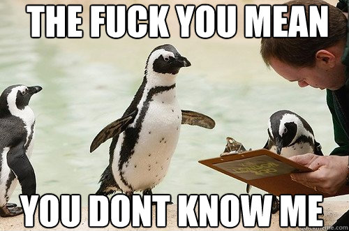 The fuck you mean you dont know me - The fuck you mean you dont know me  Uninvited Penguin