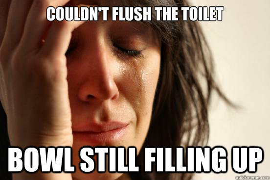 Couldn't Flush the Toilet  Bowl still filling up  First World Problems
