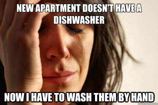 New Apartment doesn't have a dishwasher Now I have to wash them by hand  First World Problems