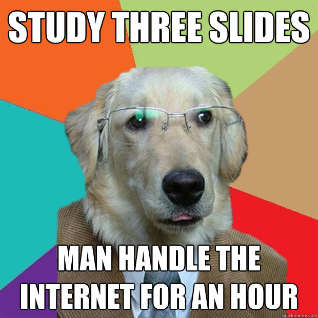 Study Three Slides Man handle the internet for an hour  Business Dog