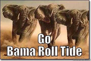  GO BAMA ROLL TIDE Misc