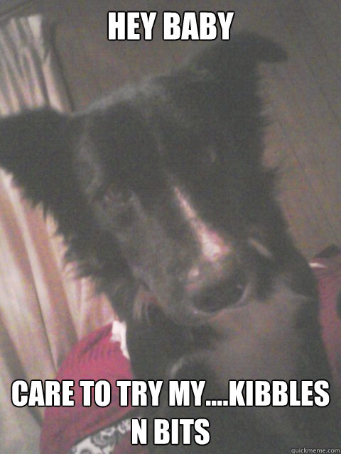 Hey baby Care to try my....Kibbles n Bits  