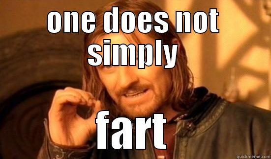 ONE DOES NOT SIMPLY FART Boromir