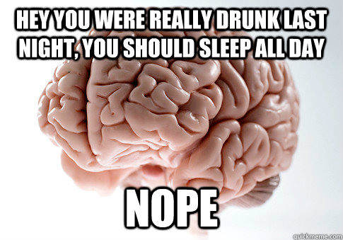 hey you were really drunk last night, you should sleep all day nope  Scumbag Brain